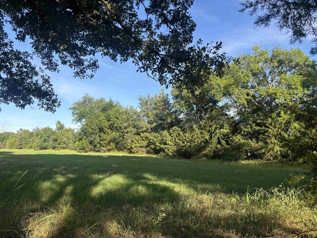 1226 Vz County Road 1801, Grand Saline, TX 75140 - photo 7