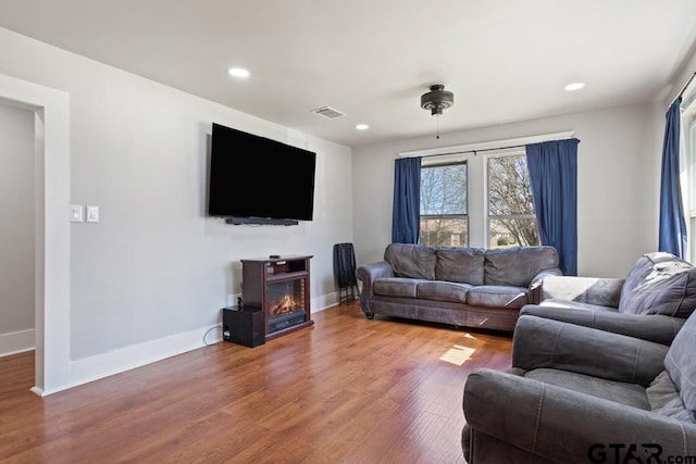 living room featuring wood-type flooring