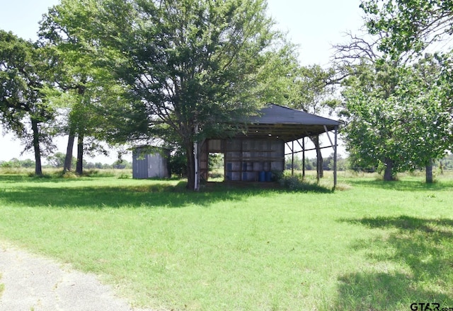 view of yard featuring a storage shed