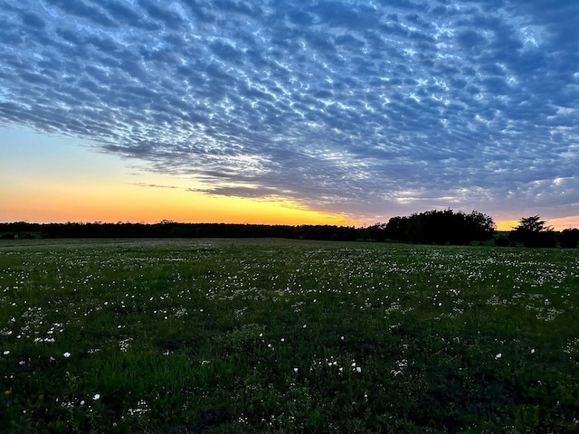 TBD County Road 24960, Brookston, TX 75421 - photo 6