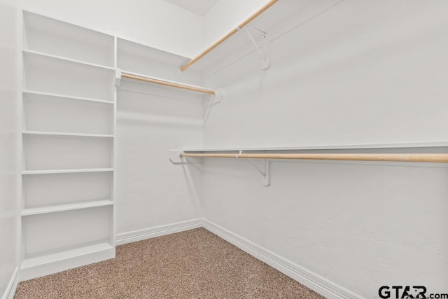 spacious closet featuring carpet flooring