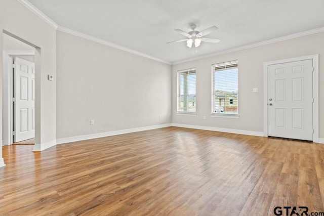 interior space featuring crown molding, ceiling fan, and light wood-type flooring