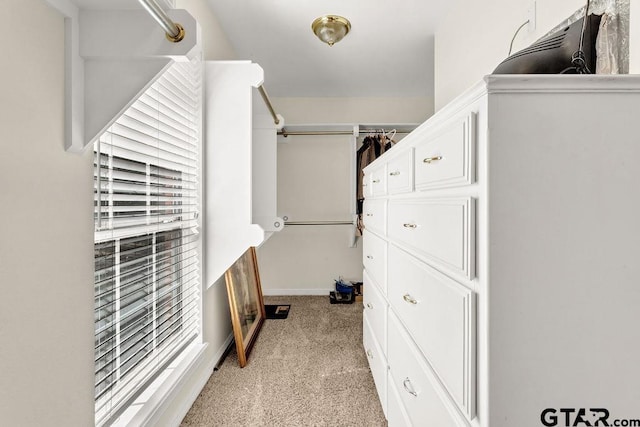 spacious closet with light colored carpet