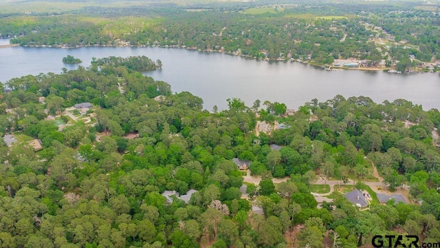 aerial view with a water view and a view of trees