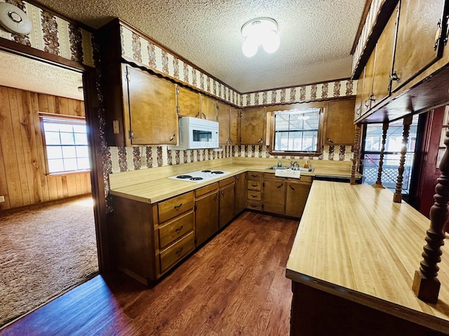 kitchen featuring a wealth of natural light, white appliances, a textured ceiling, and a sink