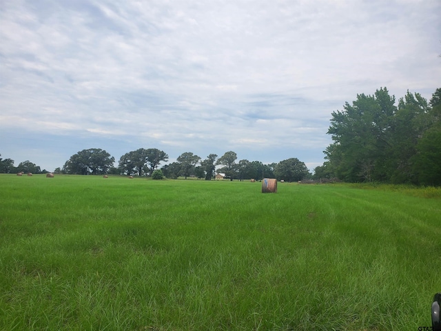 TBD Cr 4221, Frankston, TX 75763 - photo 7