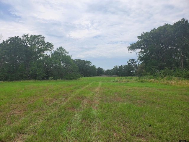 TBD Cr 4221, Frankston, TX 75763 - photo 1