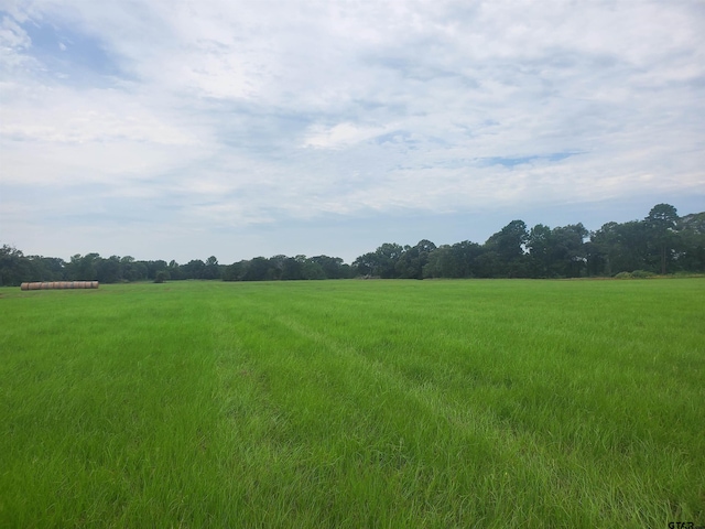 TBD Cr 4221, Frankston, TX 75763 - photo 6