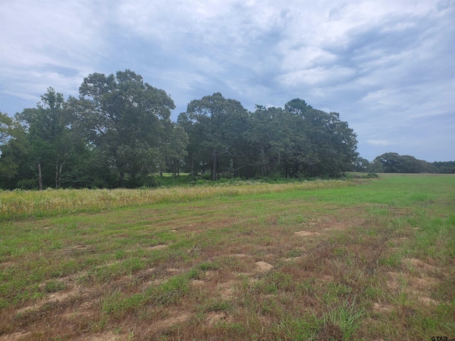 TBD Cr 4221, Frankston, TX 75763 - photo 10