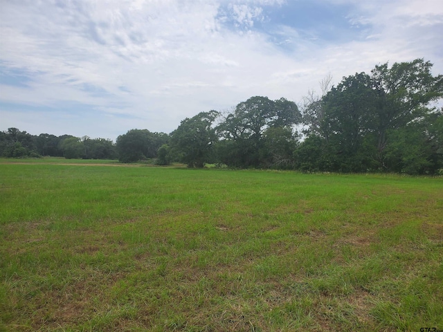 TBD Cr 4221, Frankston, TX 75763 - photo 11