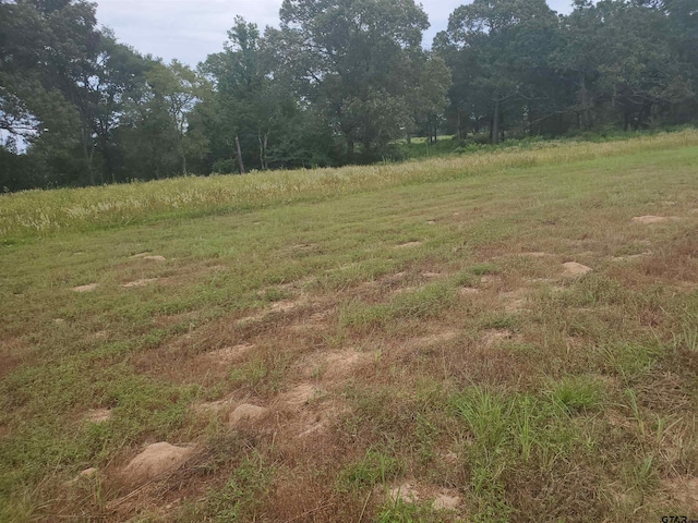 TBD Cr 4221, Frankston, TX 75763 - photo 15