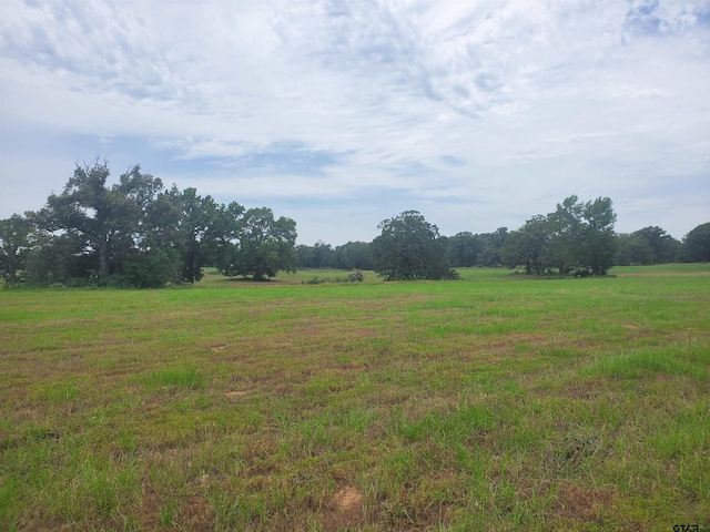 TBD Cr 4221, Frankston, TX 75763 - photo 16