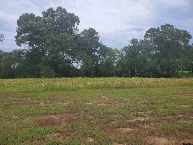TBD Cr 4221, Frankston, TX 75763 - photo 9