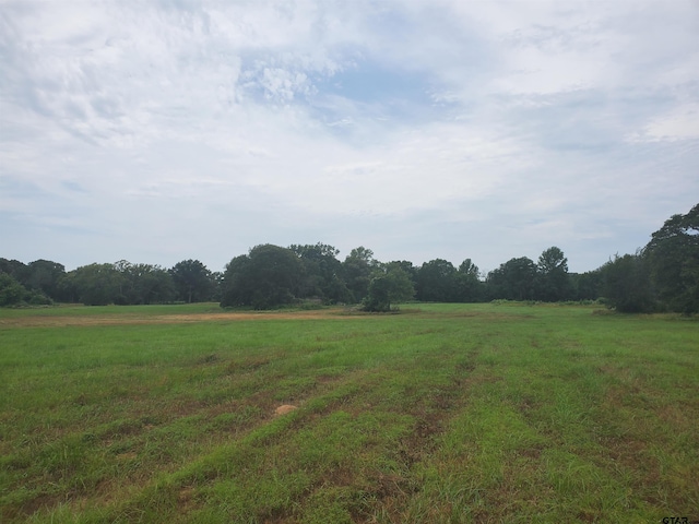 TBD Cr 4221, Frankston, TX 75763 - photo 18