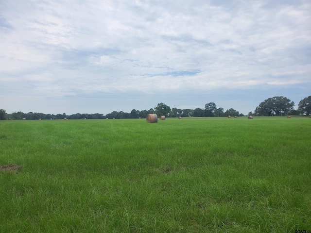 TBD Cr 4221, Frankston, TX 75763 - photo 5