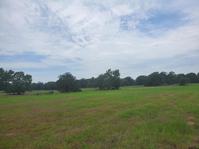 TBD Cr 4221, Frankston, TX 75763 - photo 17