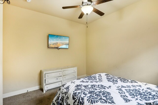 3449 Abes Landing Dr, Granbury, TX 76049 - bedroom featuring carpet floors and ceiling fan