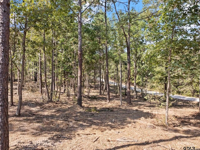 Listing photo 3 for TBD County Road 4518, Pittsburg TX 75686