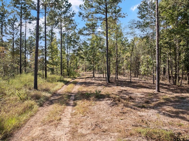 TBD County Road 4518, Pittsburg TX, 75686 land for sale