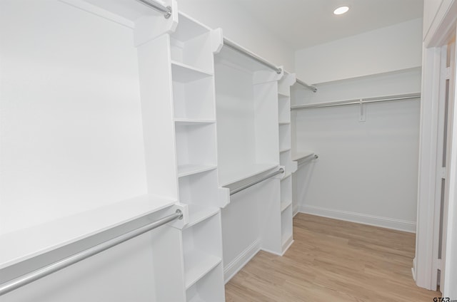 spacious closet featuring light hardwood / wood-style flooring