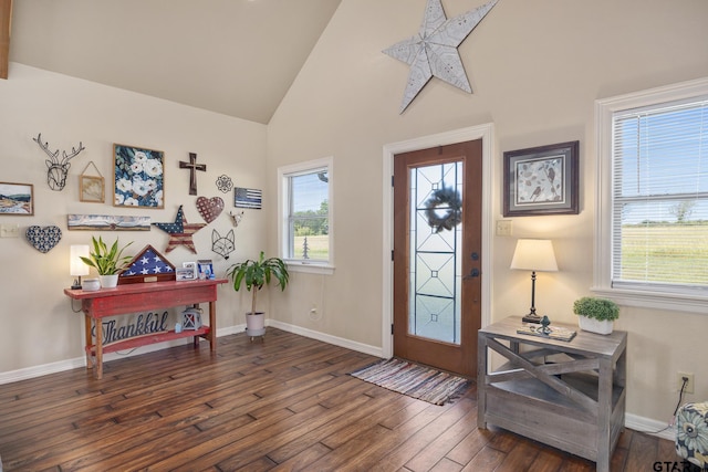 entryway featuring dark wood-type flooring, high vaulted ceiling, and a wealth of natural light