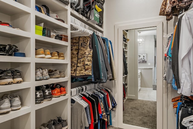 spacious closet featuring carpet flooring