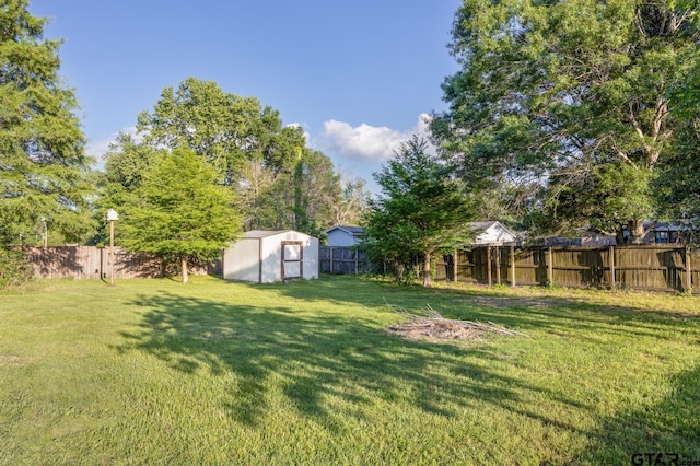 view of yard with a storage shed