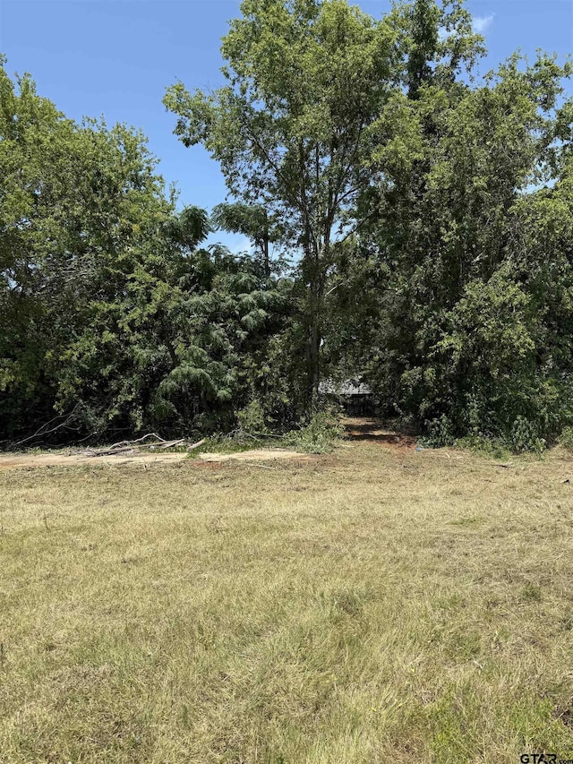1201 S Houston St, Bullard, TX 75757 - photo 4