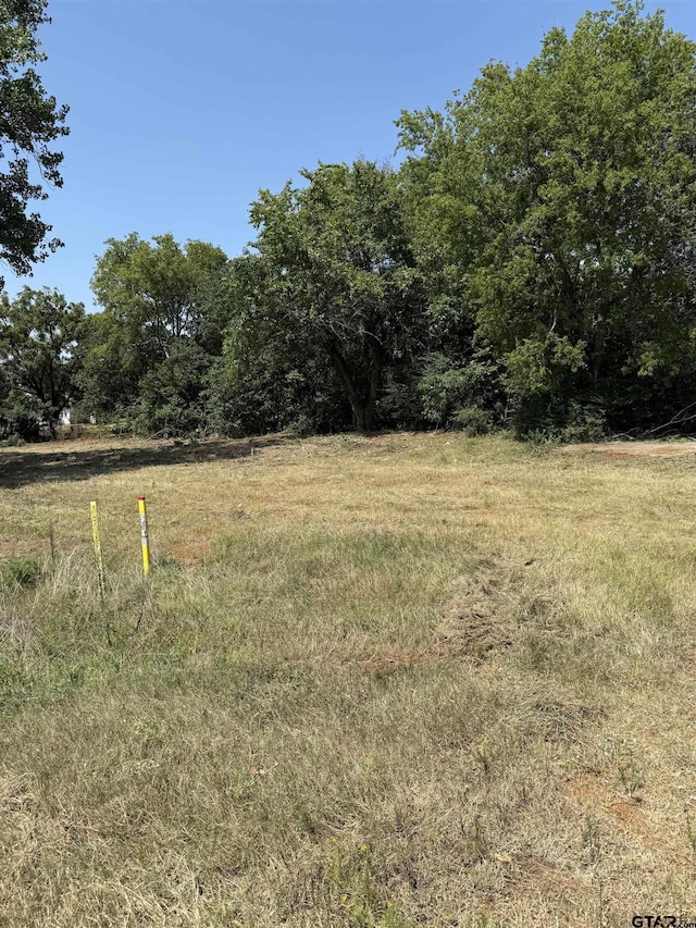 1201 S Houston St, Bullard, TX 75757 - photo 5