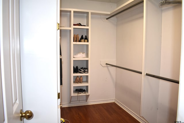 walk in closet with dark hardwood / wood-style floors