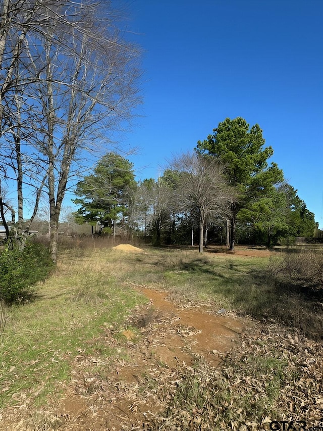 Listing photo 2 for LOT7 Berrycreek Cir, Frankston TX 75763