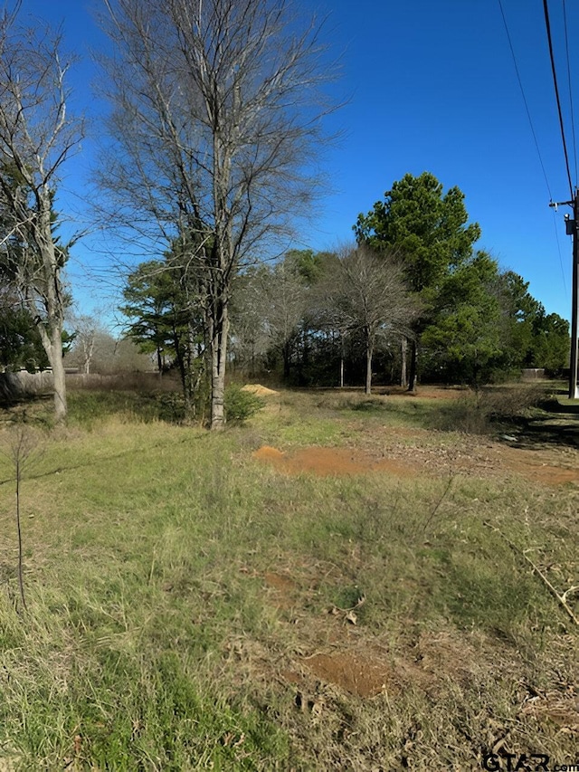 Listing photo 3 for LOT7 Berrycreek Cir, Frankston TX 75763