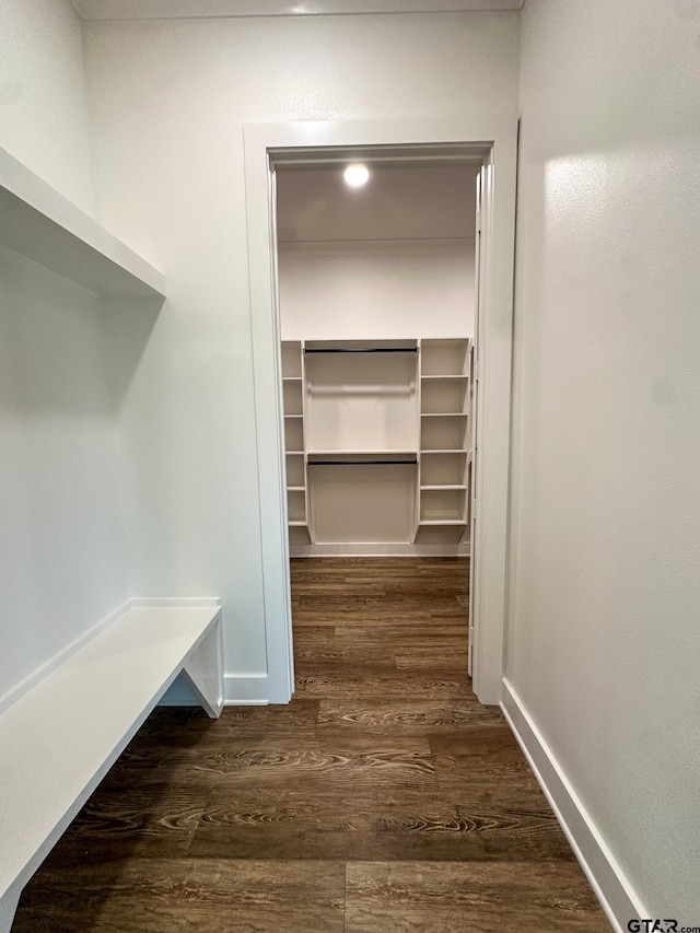 12301 Harlon, Flint, TX 75762 - spacious closet with dark wood-style floors