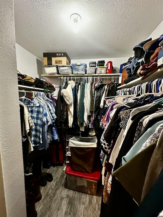 spacious closet with hardwood / wood-style flooring