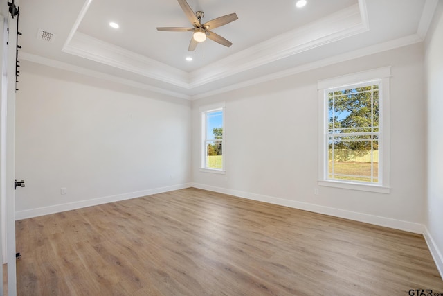 unfurnished room with light wood-type flooring, a healthy amount of sunlight, and a raised ceiling