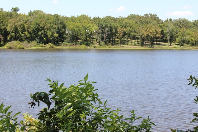 view of water feature