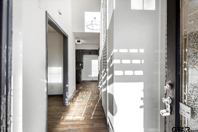 foyer with dark wood-style floors