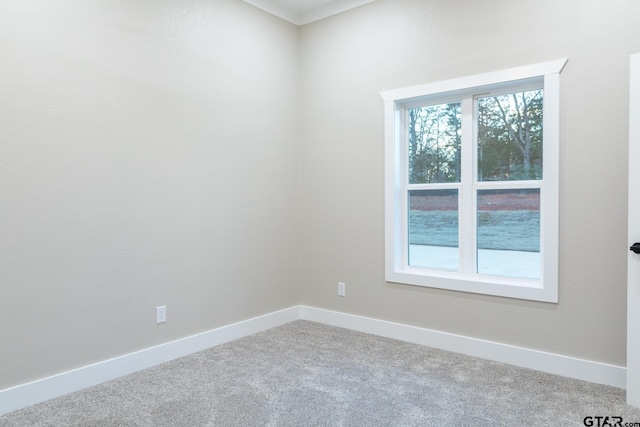 unfurnished room with carpet