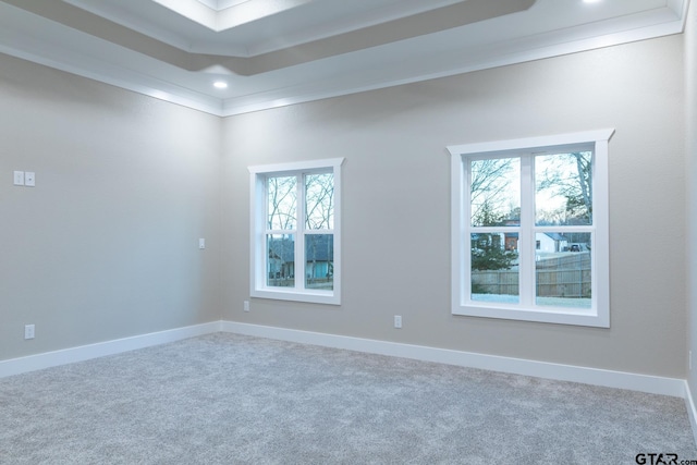 spare room featuring ornamental molding, carpet flooring, a healthy amount of sunlight, and a raised ceiling