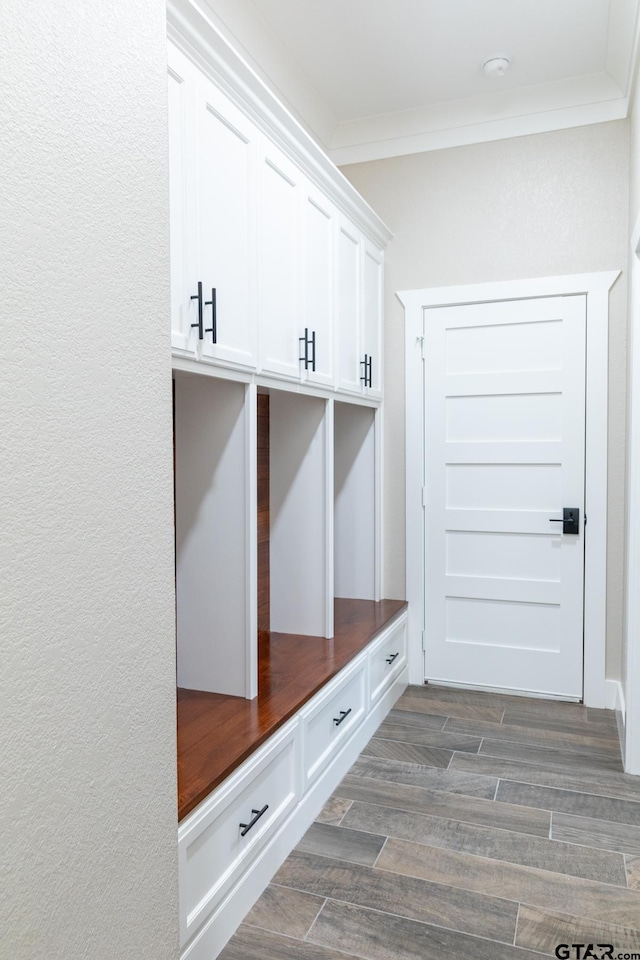 mudroom with ornamental molding and dark wood-type flooring