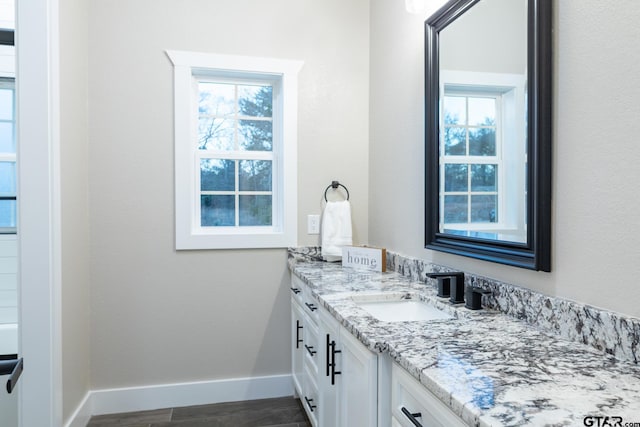 bathroom featuring vanity, a wealth of natural light, and wood-type flooring