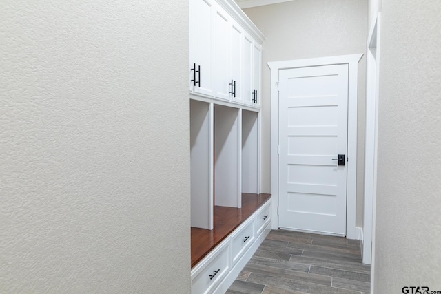 mudroom featuring dark wood-type flooring