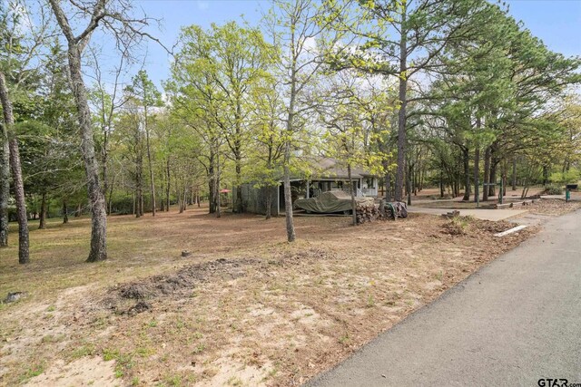381 Knollwood Ln, Holly Lake Ranch, TX 75765 - view of yard featuring cooling unit
