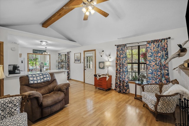381 Knollwood Ln, Holly Lake Ranch, TX 75765 - living area featuring vaulted ceiling with beams, light wood-type flooring, a ceiling fan, and plenty of natural light