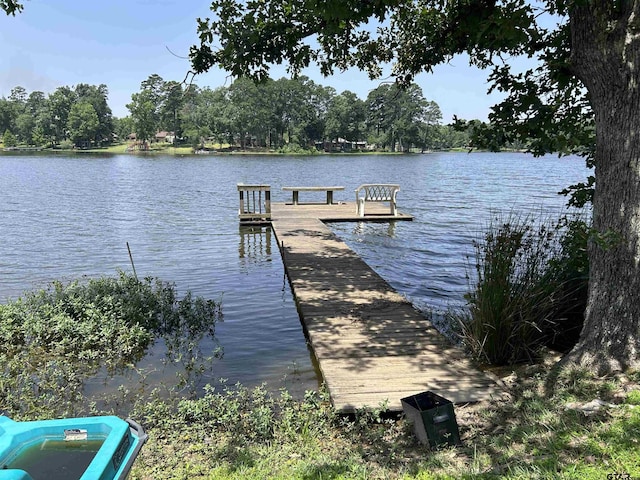 7892 Lakeshore Dr, Tyler, TX 75707 - dock with a water view