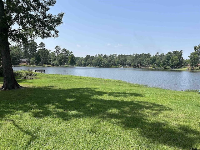 7892 Lakeshore Dr, Tyler, TX 75707 - view of green lawn with a water view and a view of trees