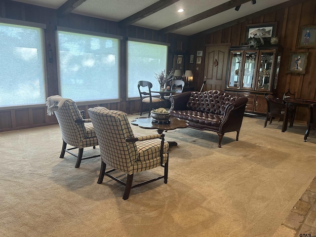 7892 Lakeshore Dr, Tyler, TX 75707 - living area with light colored carpet and wooden walls