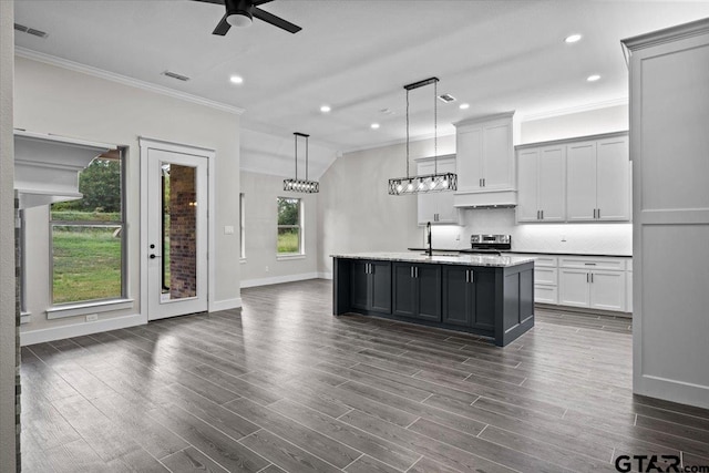 kitchen with dark hardwood / wood-style floors, decorative light fixtures, an island with sink, and sink