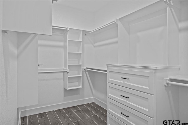 spacious closet featuring dark hardwood / wood-style floors