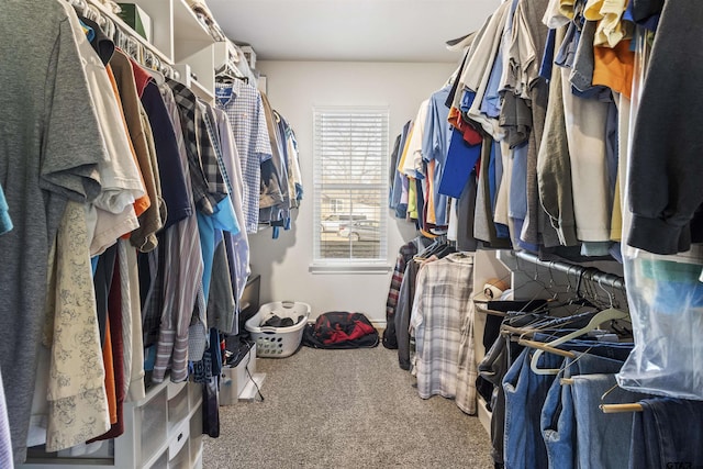 spacious closet with carpet floors